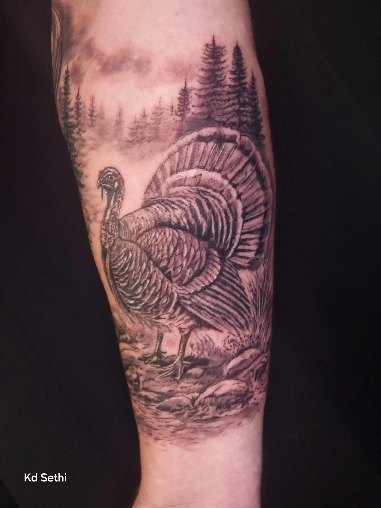 Black and grey realism wild turkey tattoo on forearm with forest background