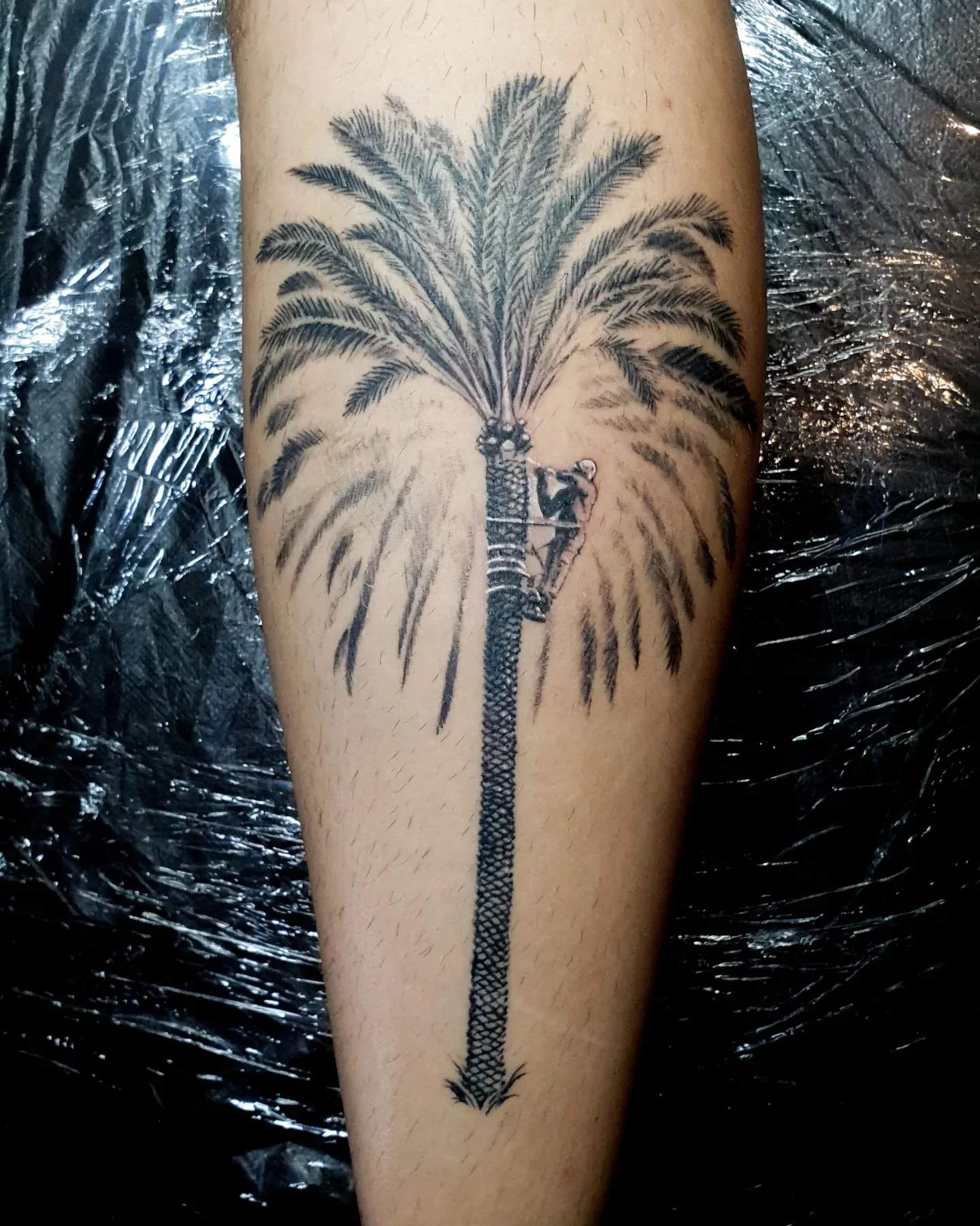 Black and grey palm tree with climbing figure tattoo on forearm