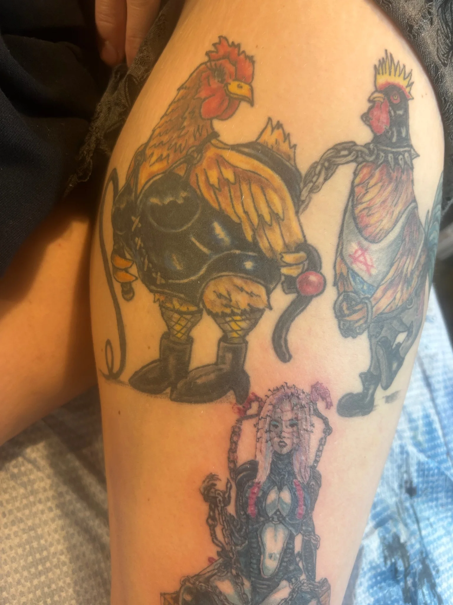 Dominatrix chicken and punk rock rooster