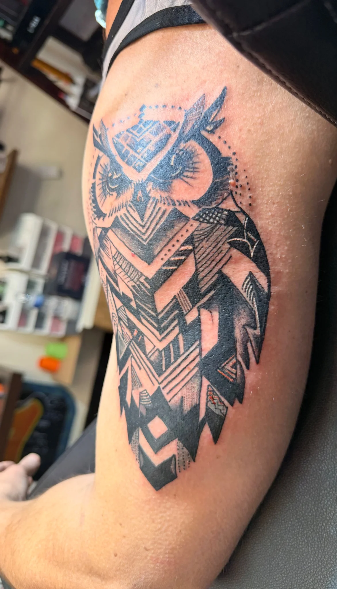 Geometric Owl