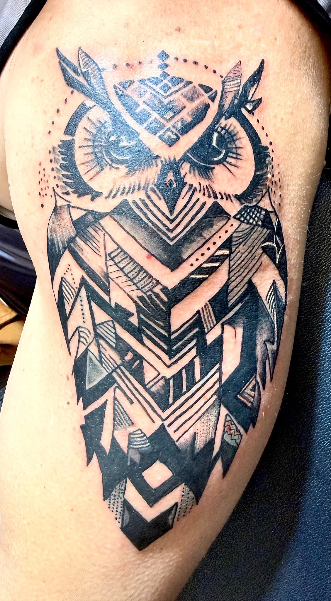 Geometric Owl