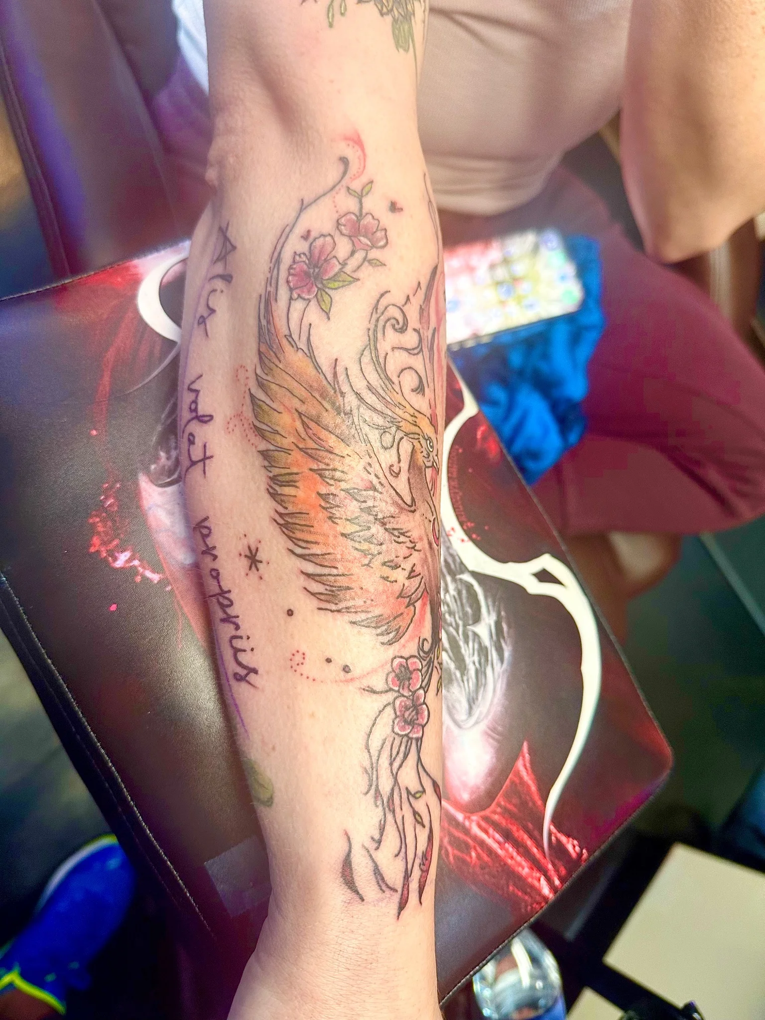 Neo-traditional phoenix with cherry blossoms and script on forearm