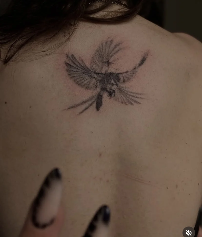 Black and grey phoenix tattoo on upper back with spread wings