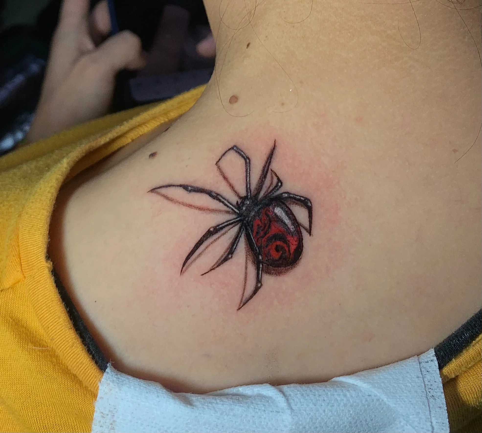 Color realism black widow spider tattoo on upper chest