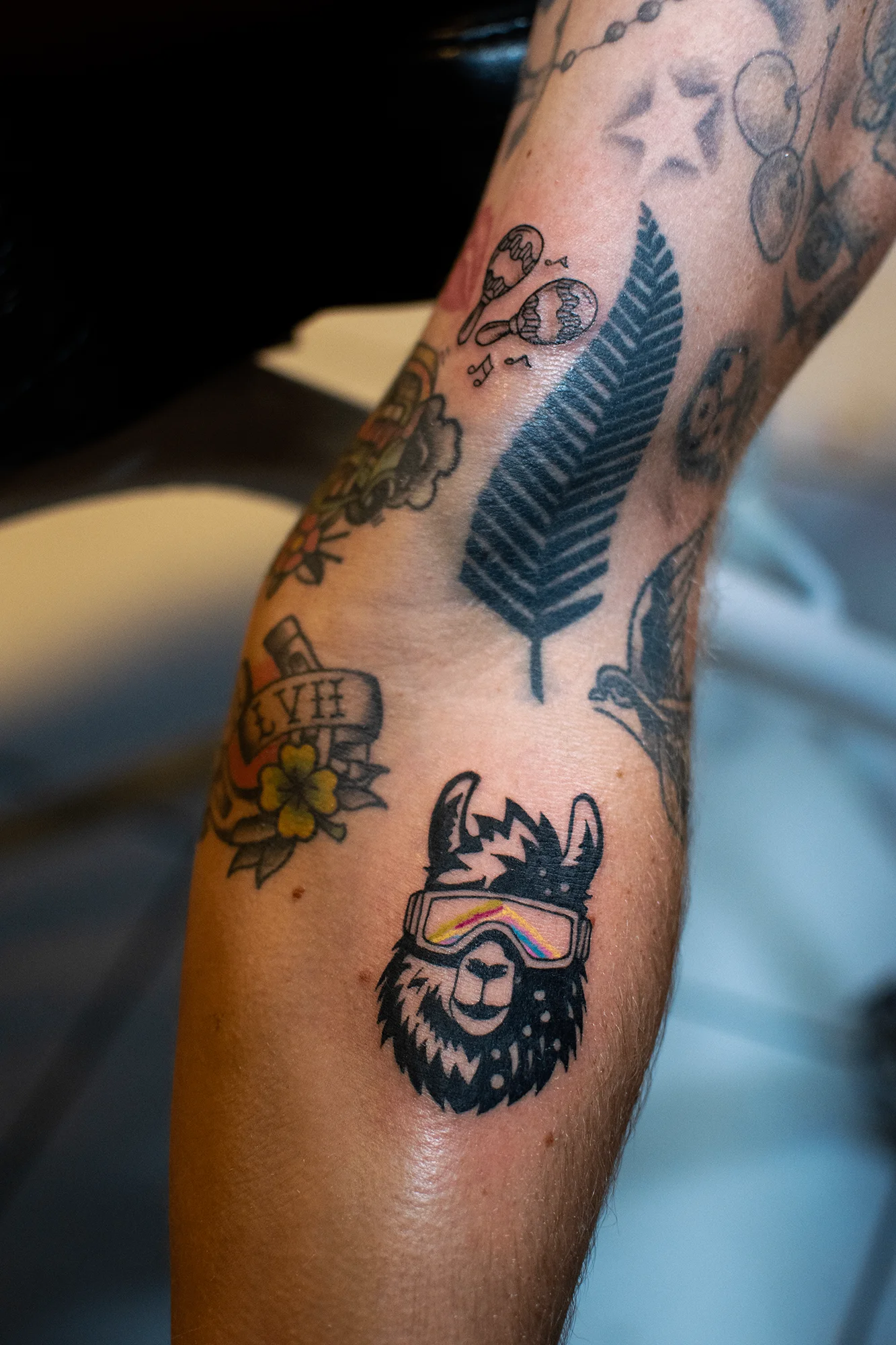 Neo-traditional llama with ski goggles tattoo on knee