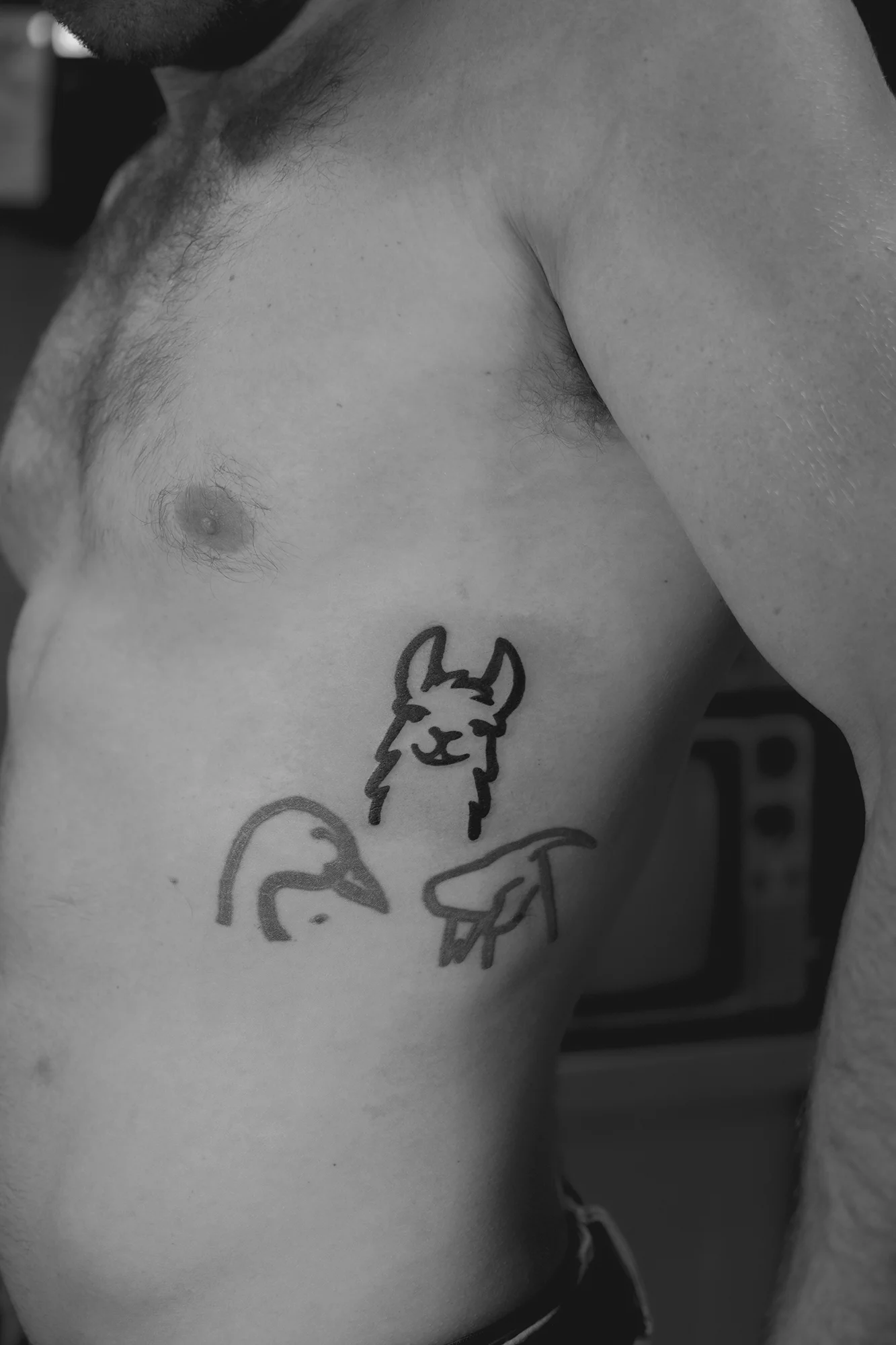 Minimalist outline animal tattoos on the rib cage