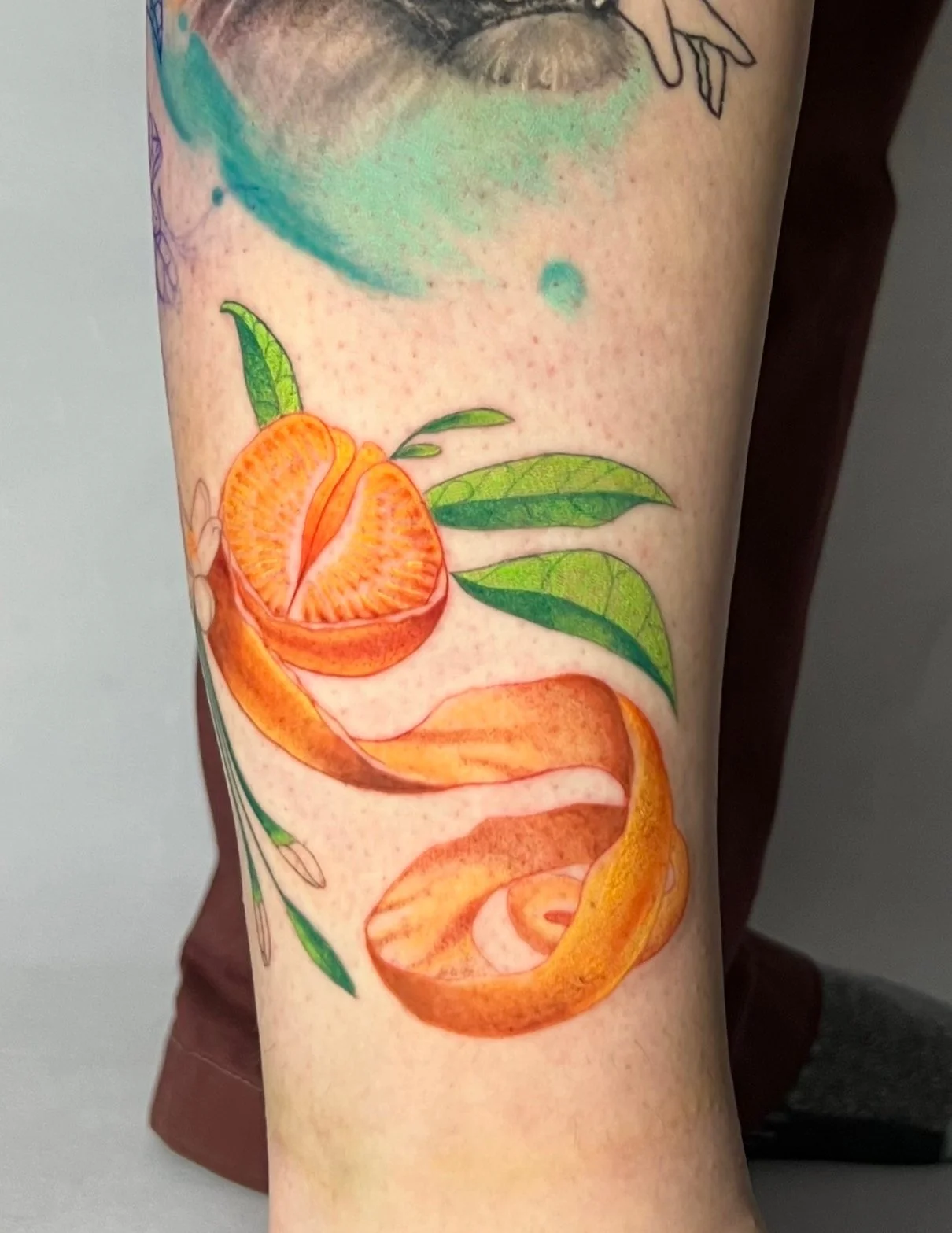 Color realism peeled orange with leaves tattoo on forearm