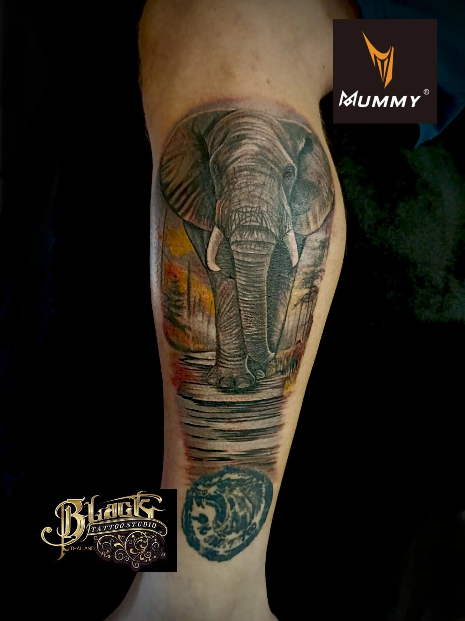 Color Realism tattoo by Pang Tattoo Artist
