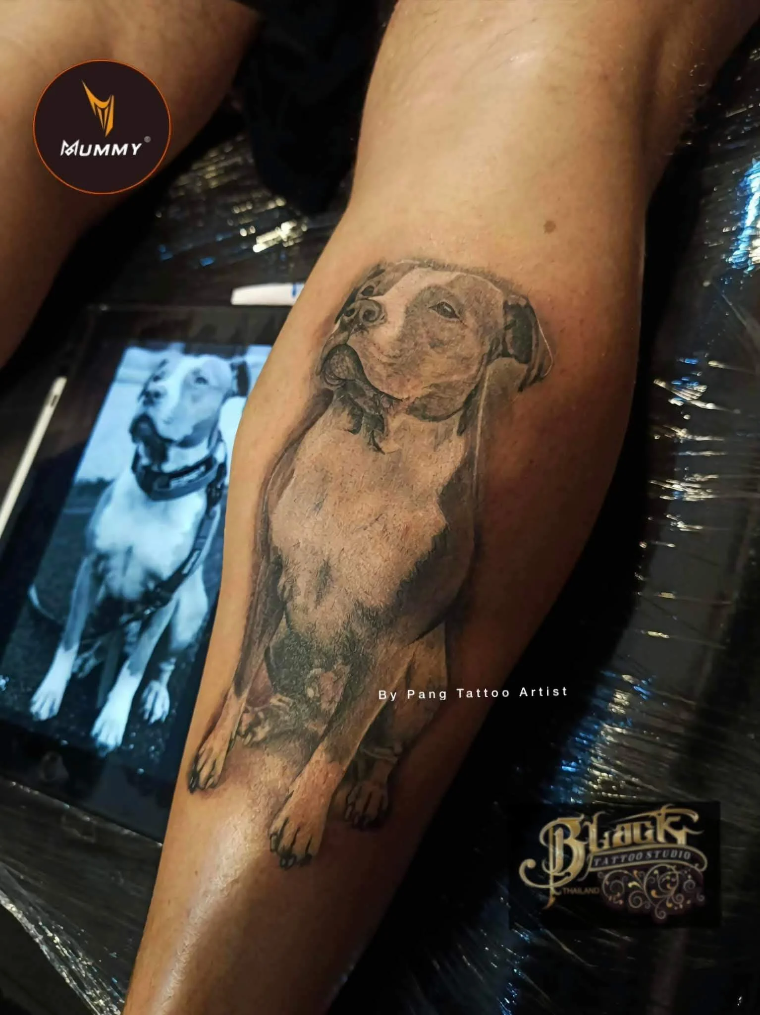 Black and grey realistic dog portrait tattoo on forearm