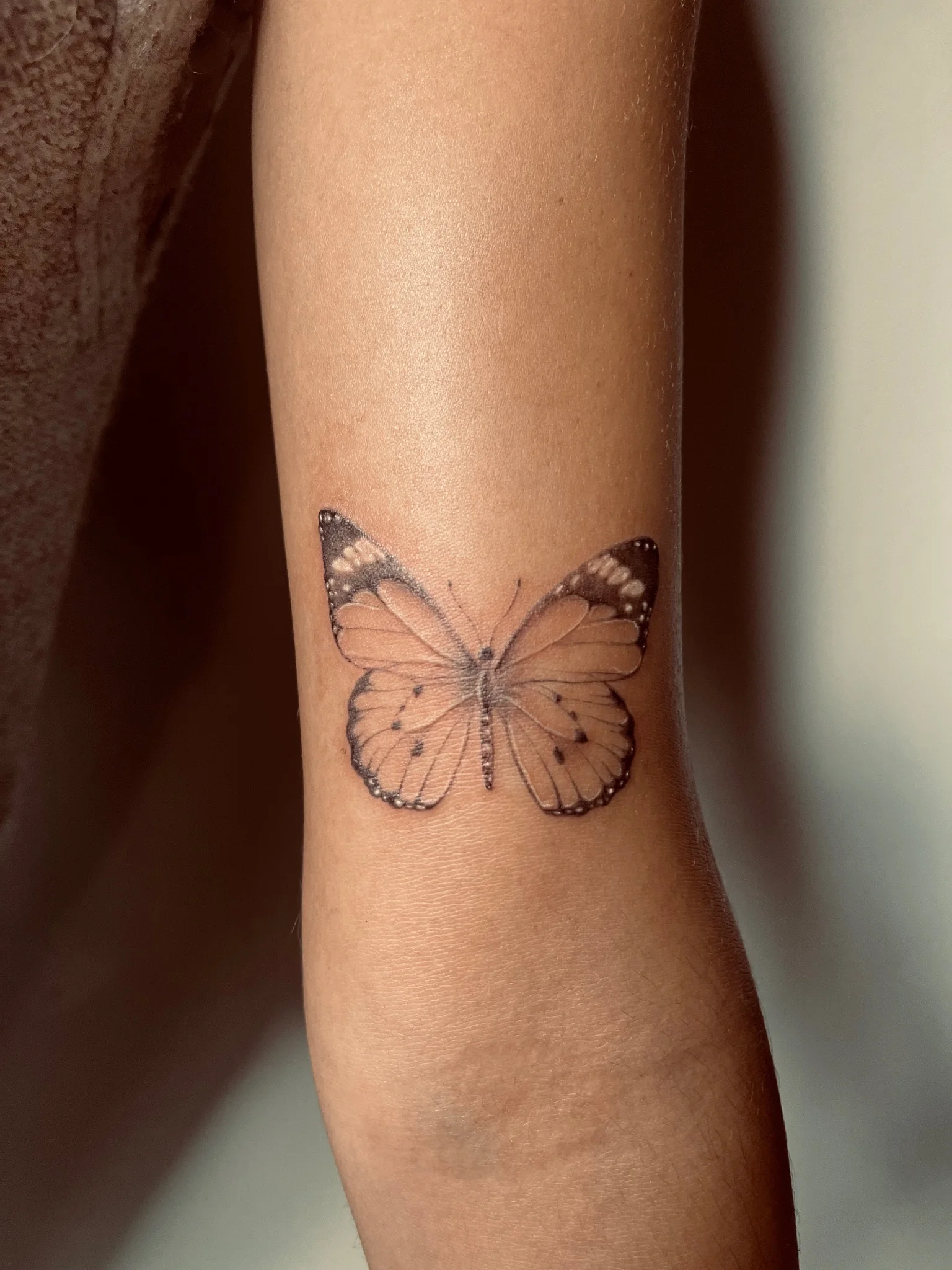 Black and grey realist butterfly tattoo on inner arm