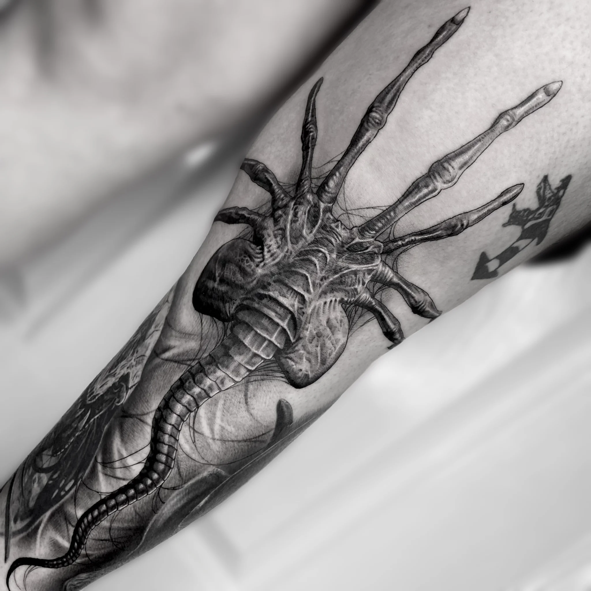 Black & Grey Realism tattoo