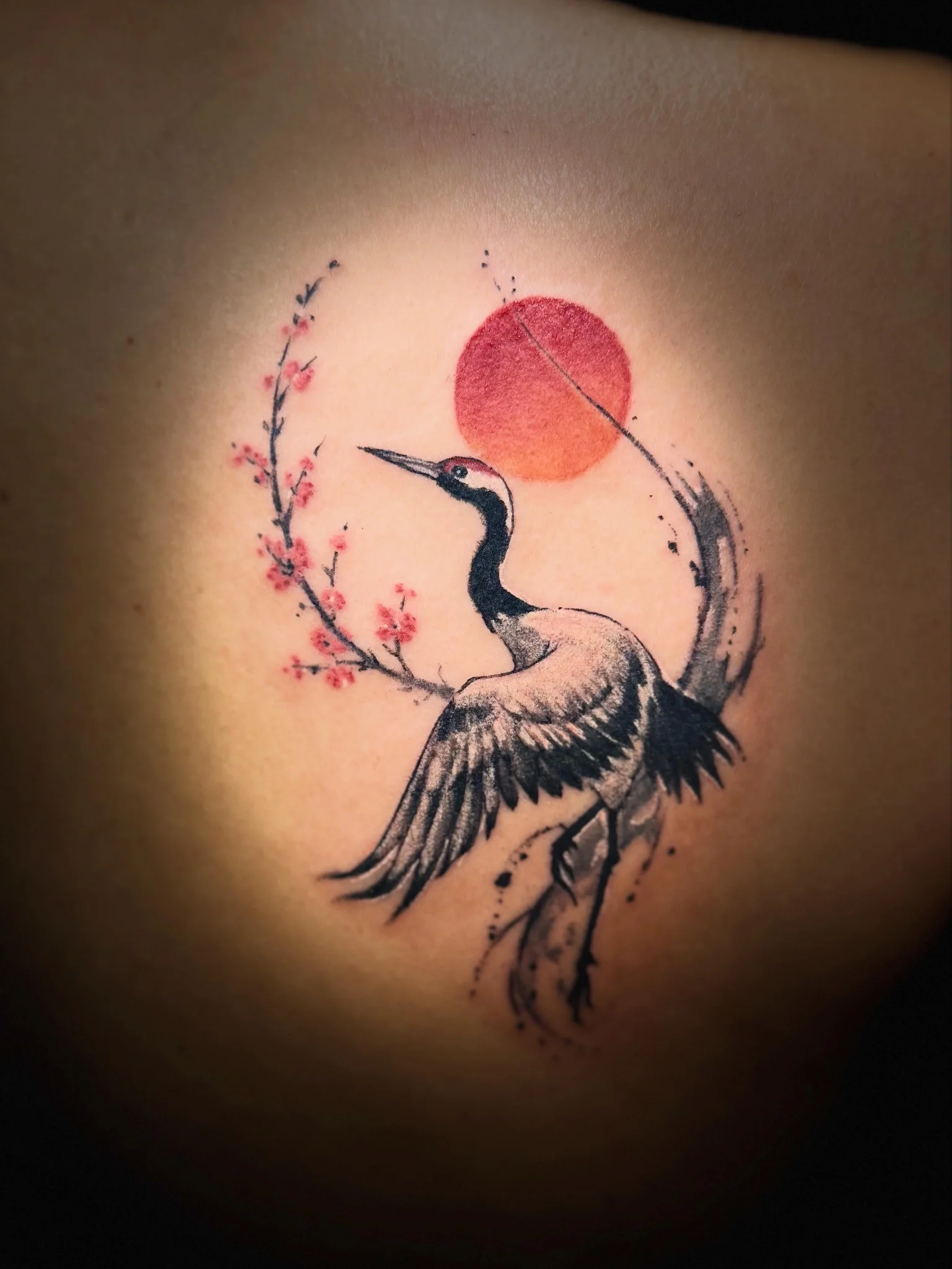 Japanese Traditional tattoo