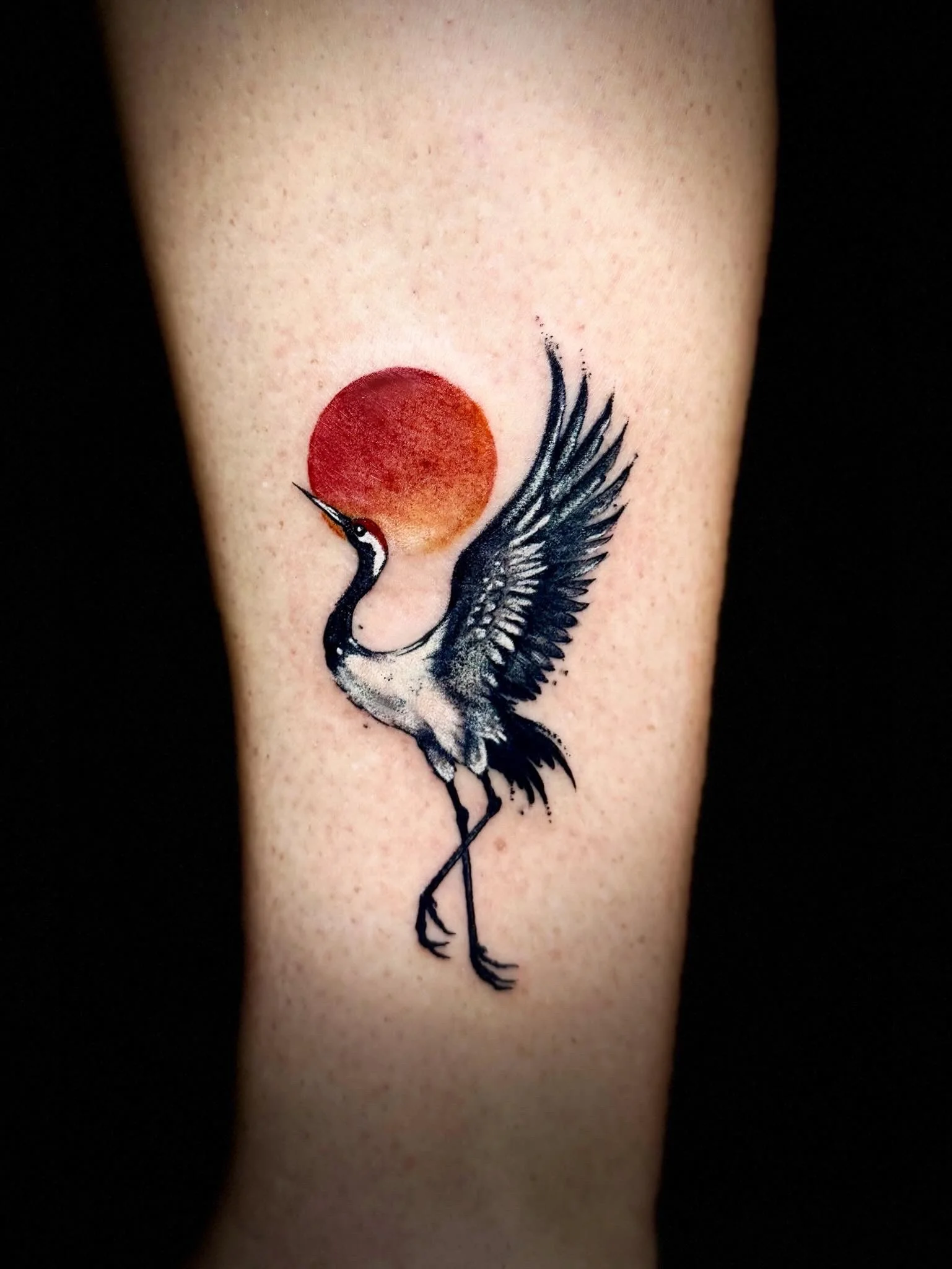 Japanese Traditional tattoo