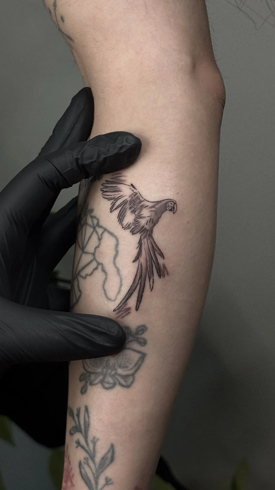 Black & Grey tattoo