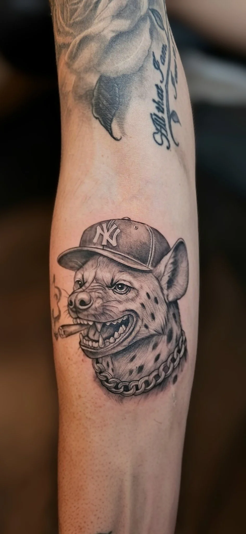 Black and grey realism hyena in NY cap tattoo on forearm