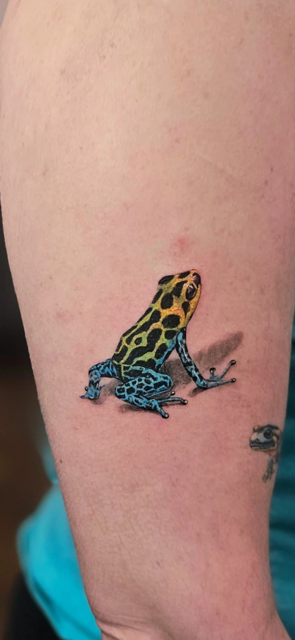 Color realism poison dart frog tattoo on lower leg
