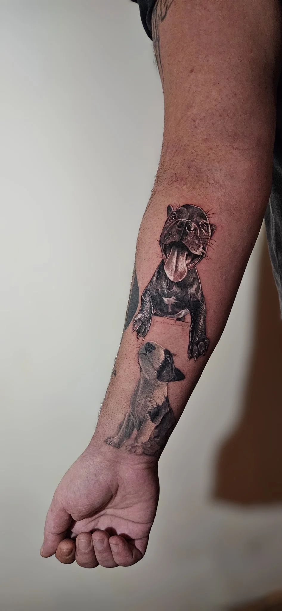 Black and grey realism tattoo of two puppies on forearm
