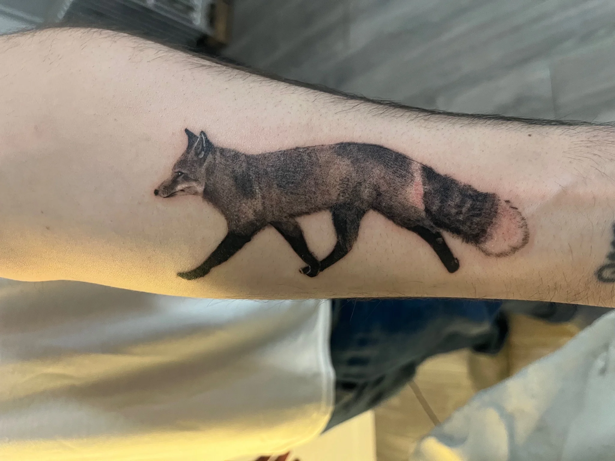 tattoo