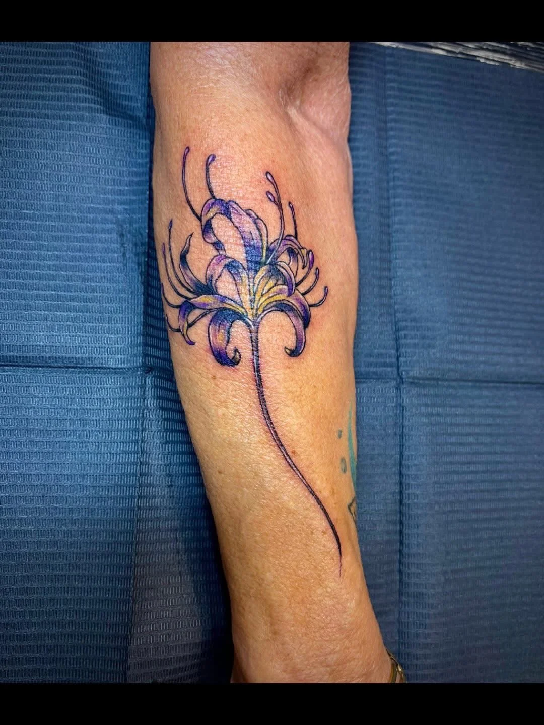 Neo-traditional color spider lily tattoo on forearm