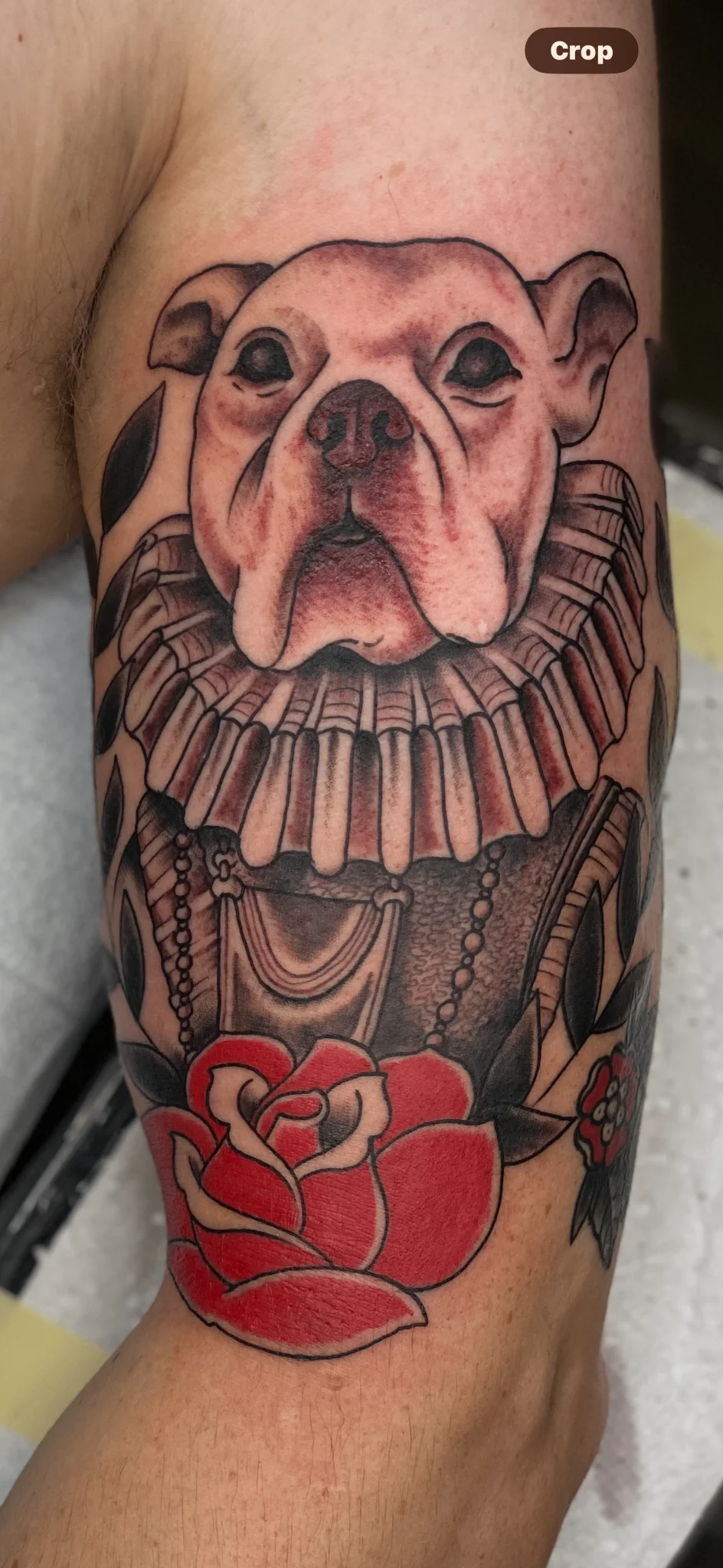 Neo-Traditional tattoo by David cavalcante