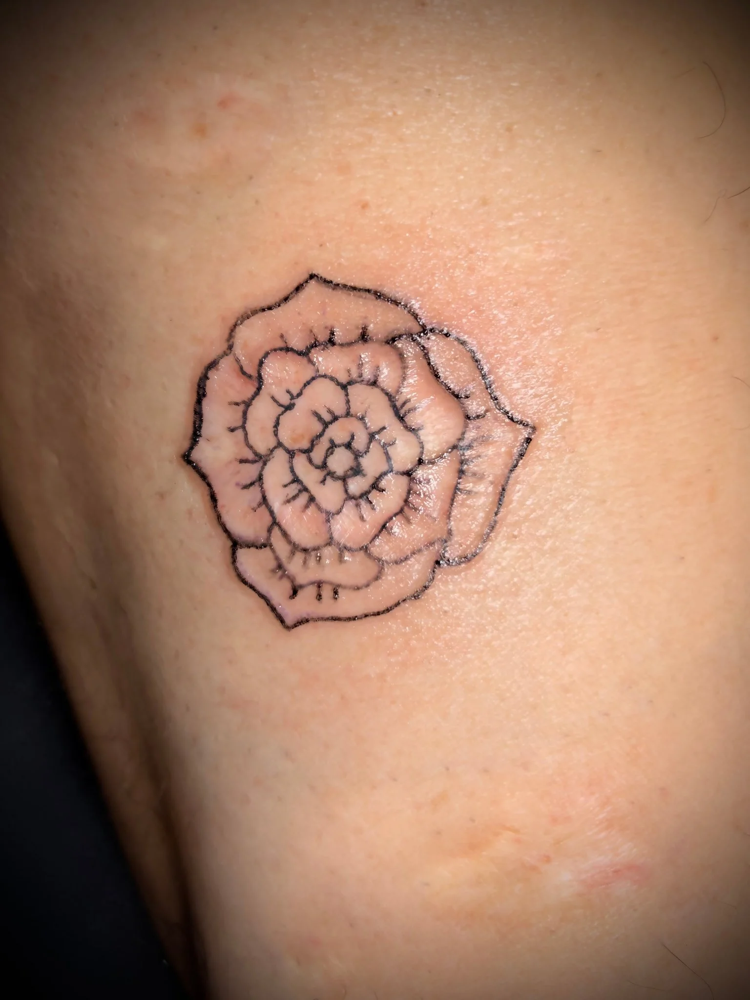 Fine line rose outline tattoo on the knee