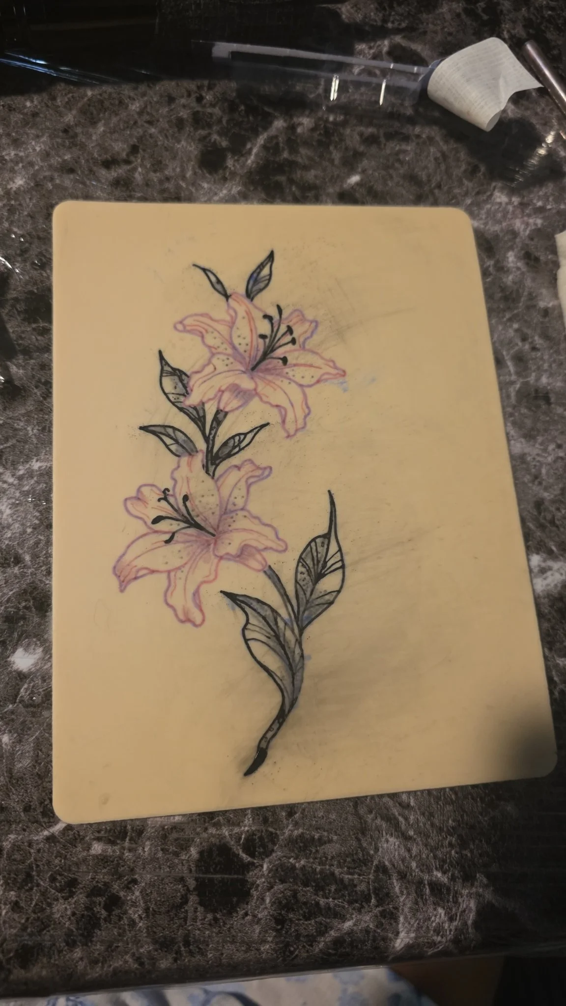 Sketch style lily flowers with pink color on practice skin