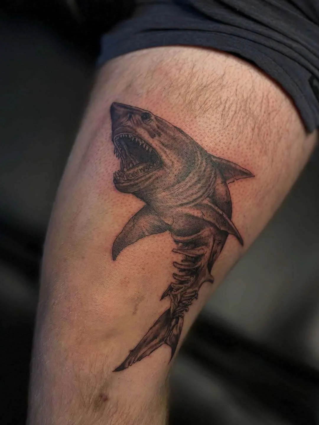 Black & Grey Realism tattoo by Louis Sonnekus
