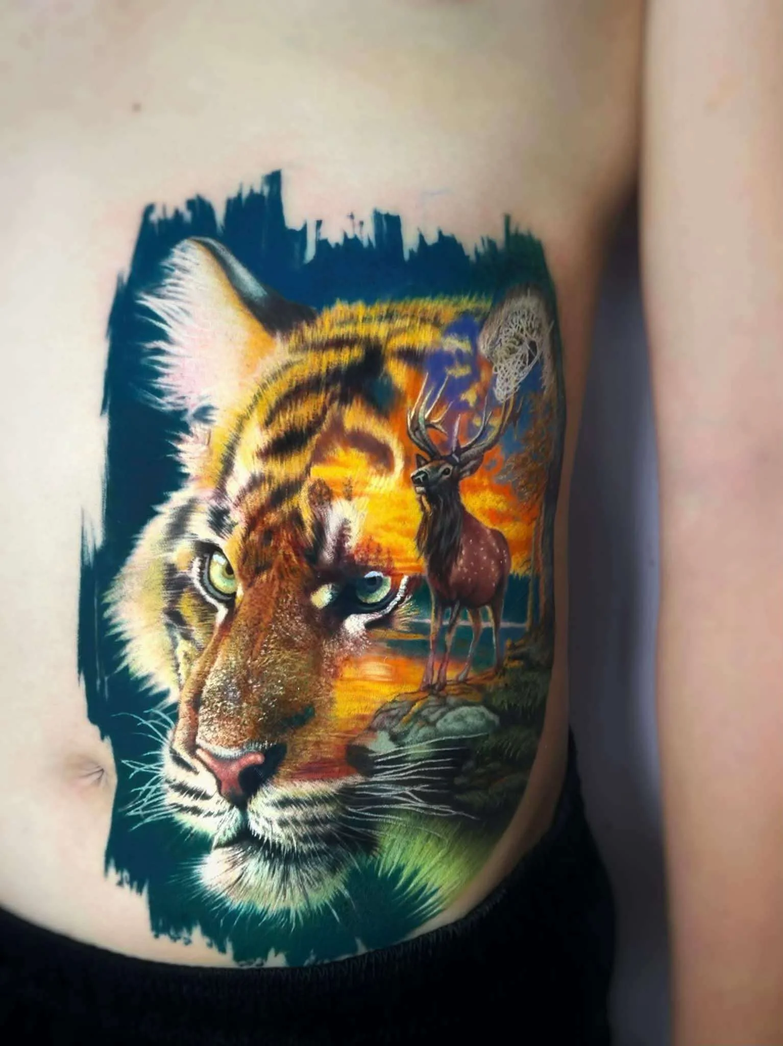 Vibrant color realism tiger and deer nature scene on ribs