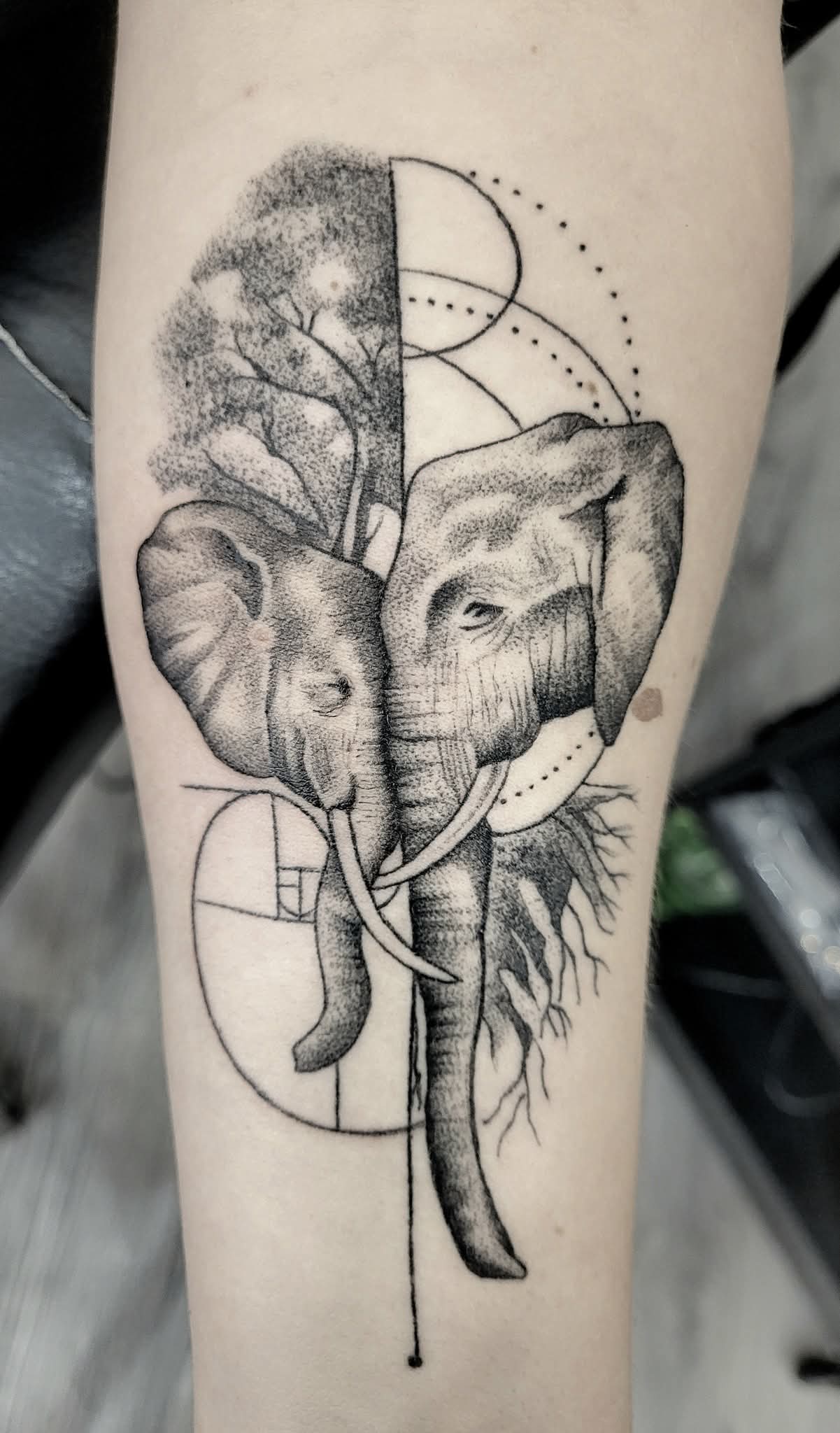 Black and grey realistic elephant head with geometric and botanical abstract elements