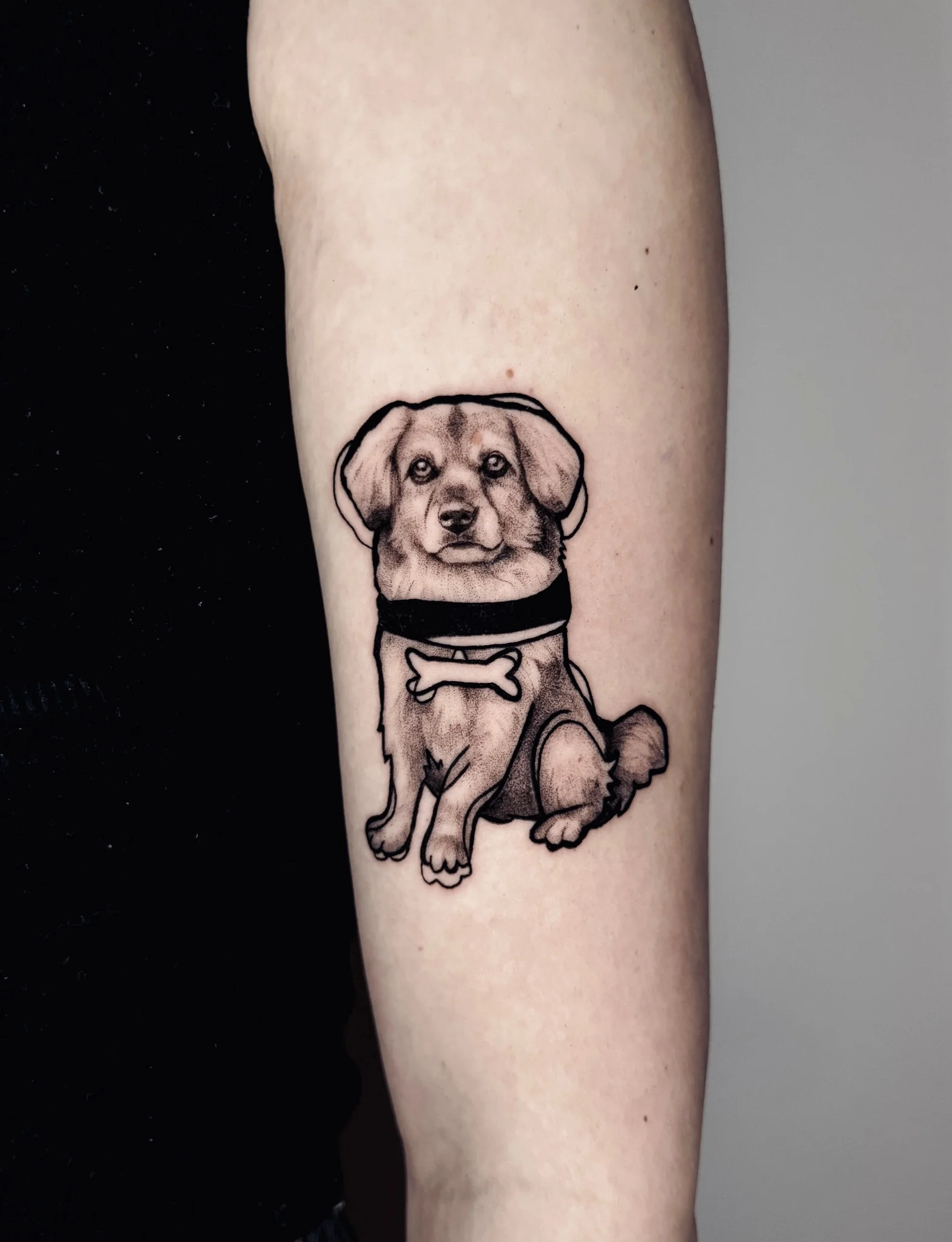 Black and grey dog portrait with collar tattoo on forearm