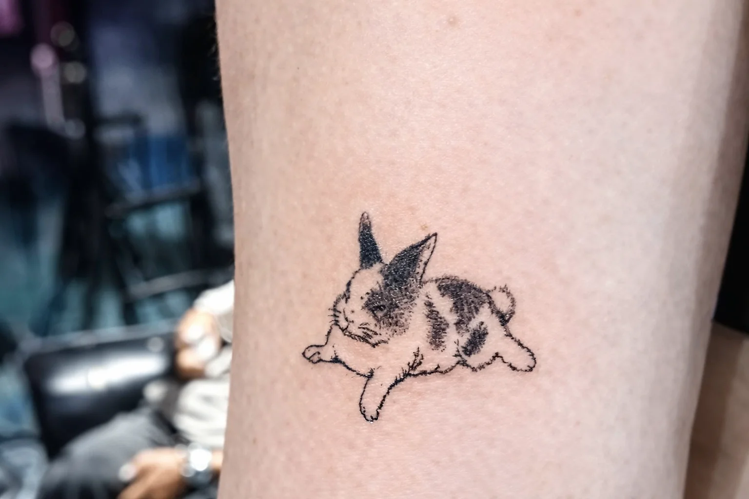 Fine line black and grey rabbit tattoo on forearm