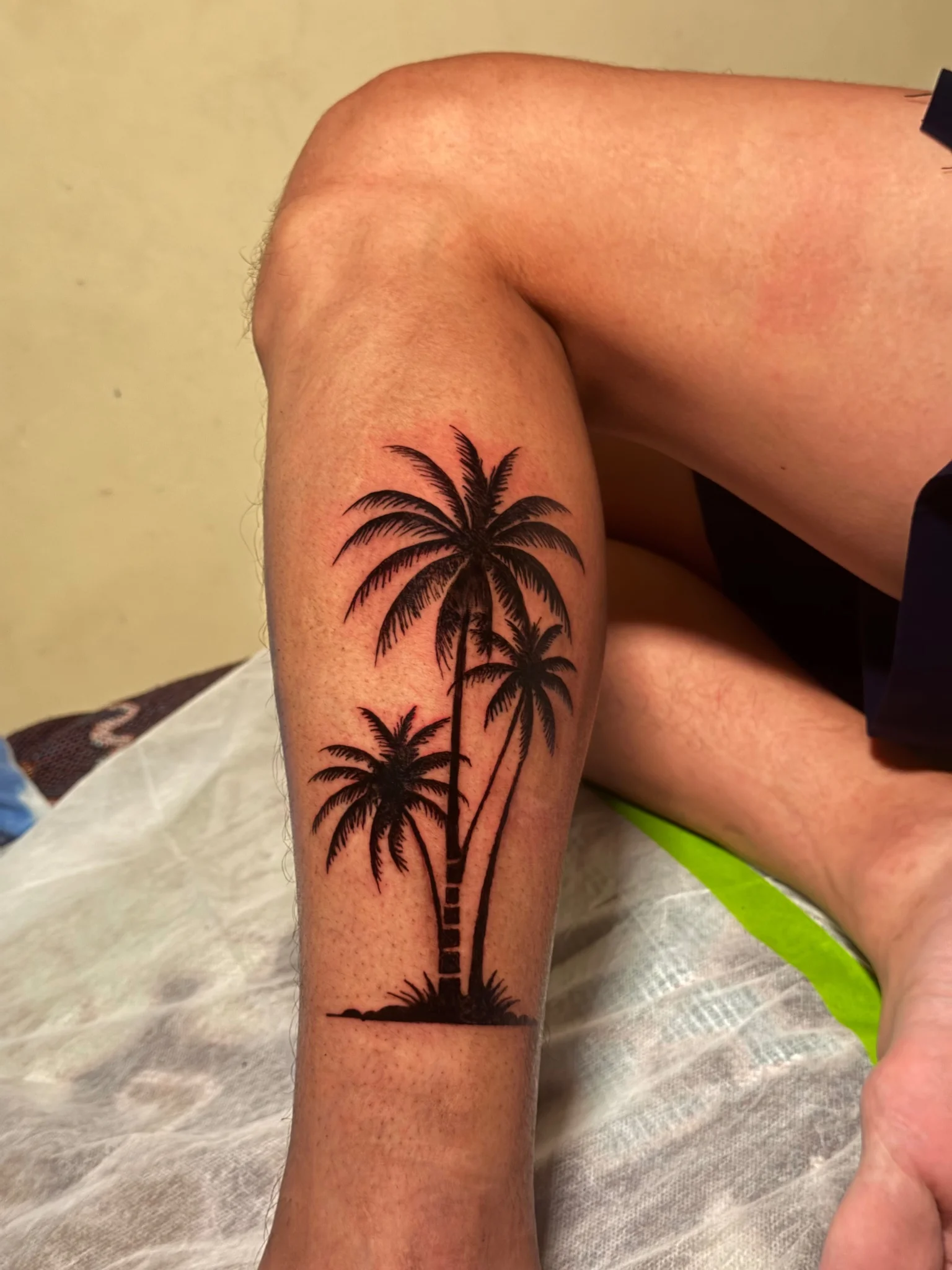 Blackwork tropical palm tree landscape tattoo on forearm
