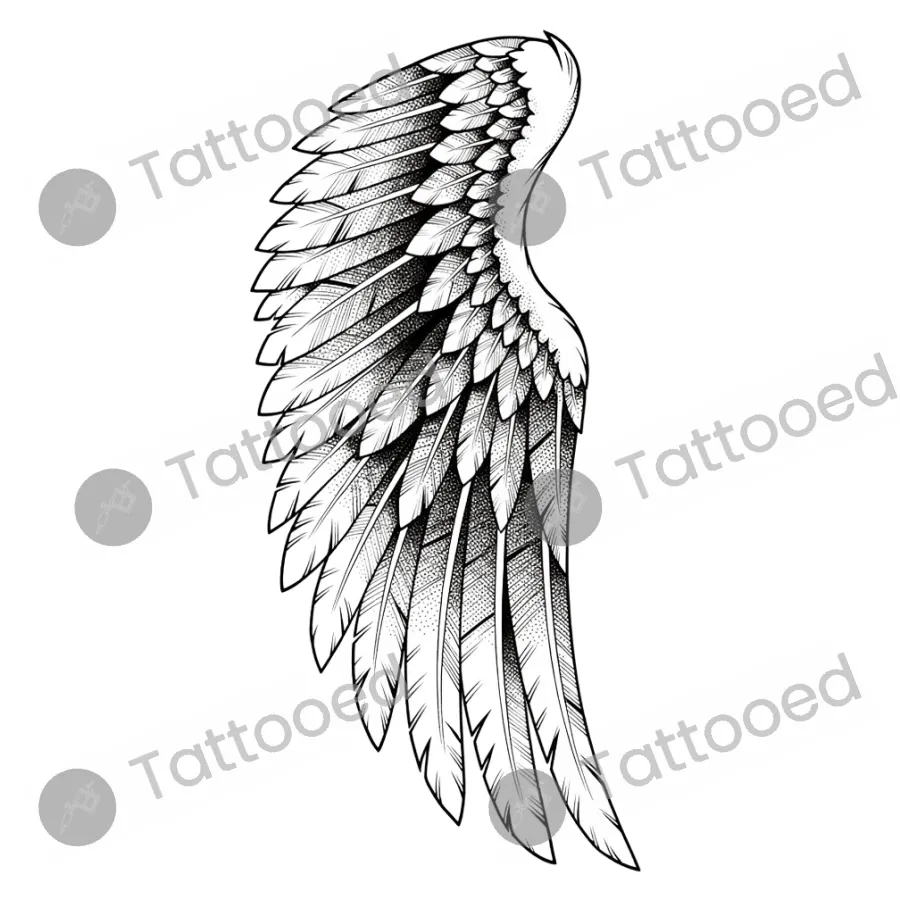 Single Angel Wing, fine line tattoo flash design