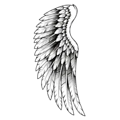 Single Angel Wing, Fine Line tattoo flash design