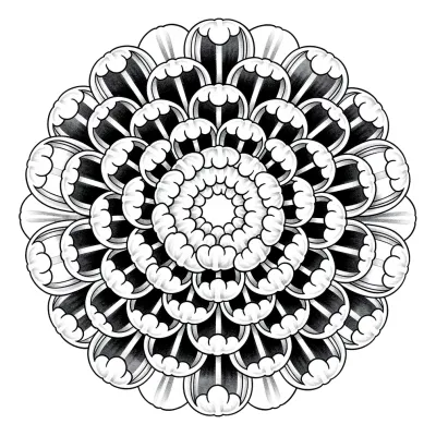 Chrysanthemum, Traditional tattoo flash design