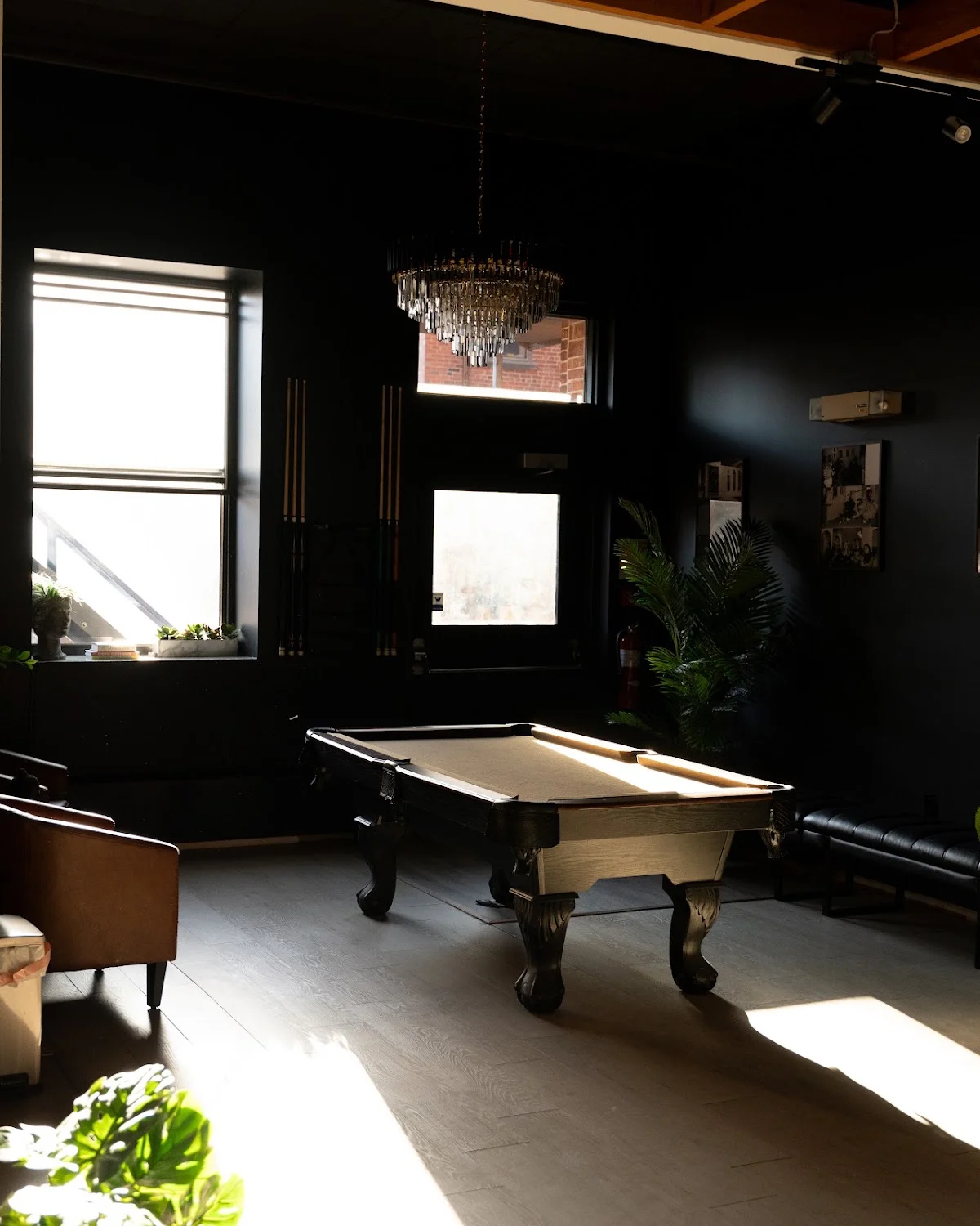 808 TATTOO STUDIOS tattoo shop in Halifax, NS