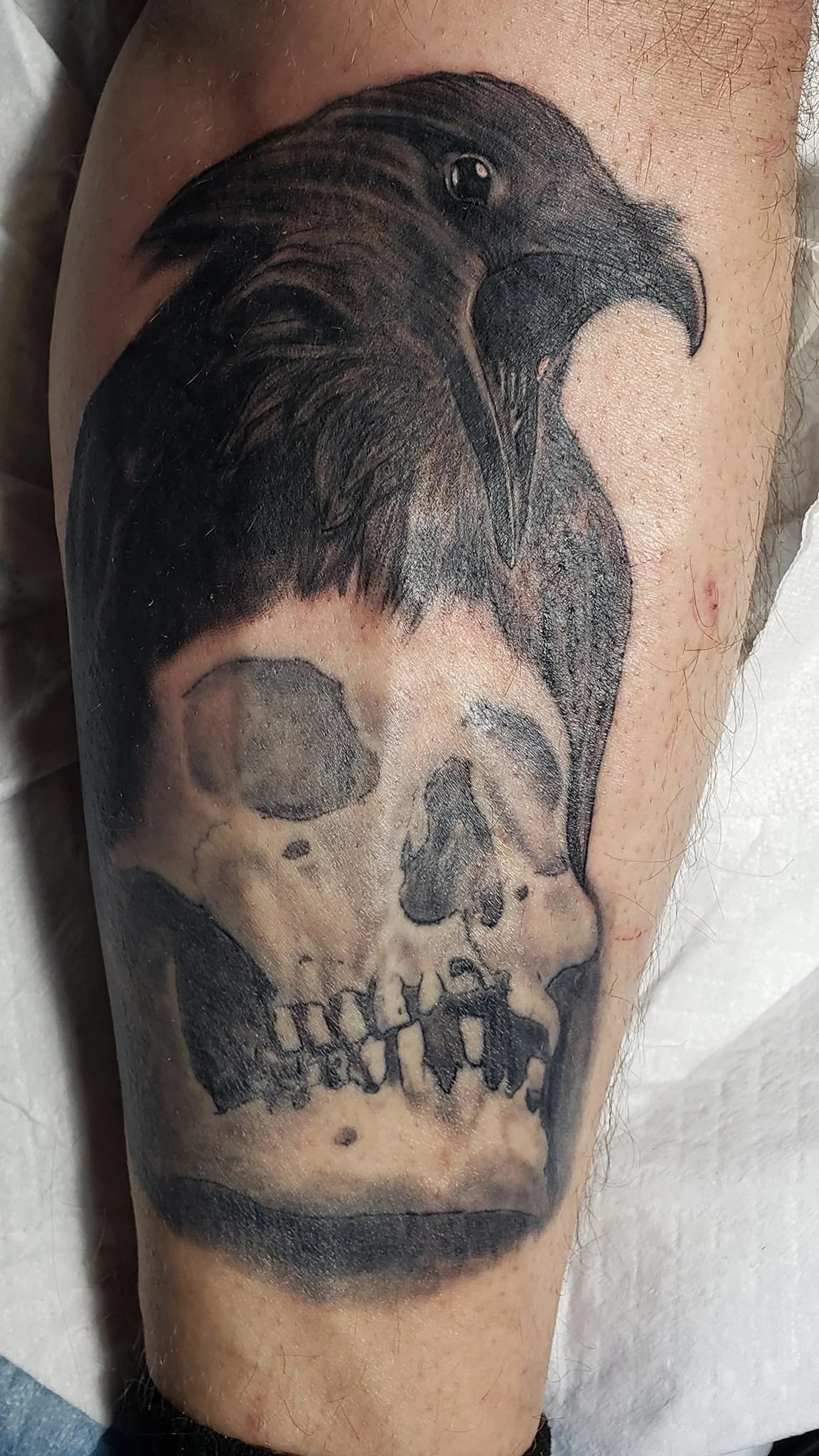 Moncton Tattoo - Tattoo & Illustration - Private Tattoo Studio tattoo shop in Moncton, NB