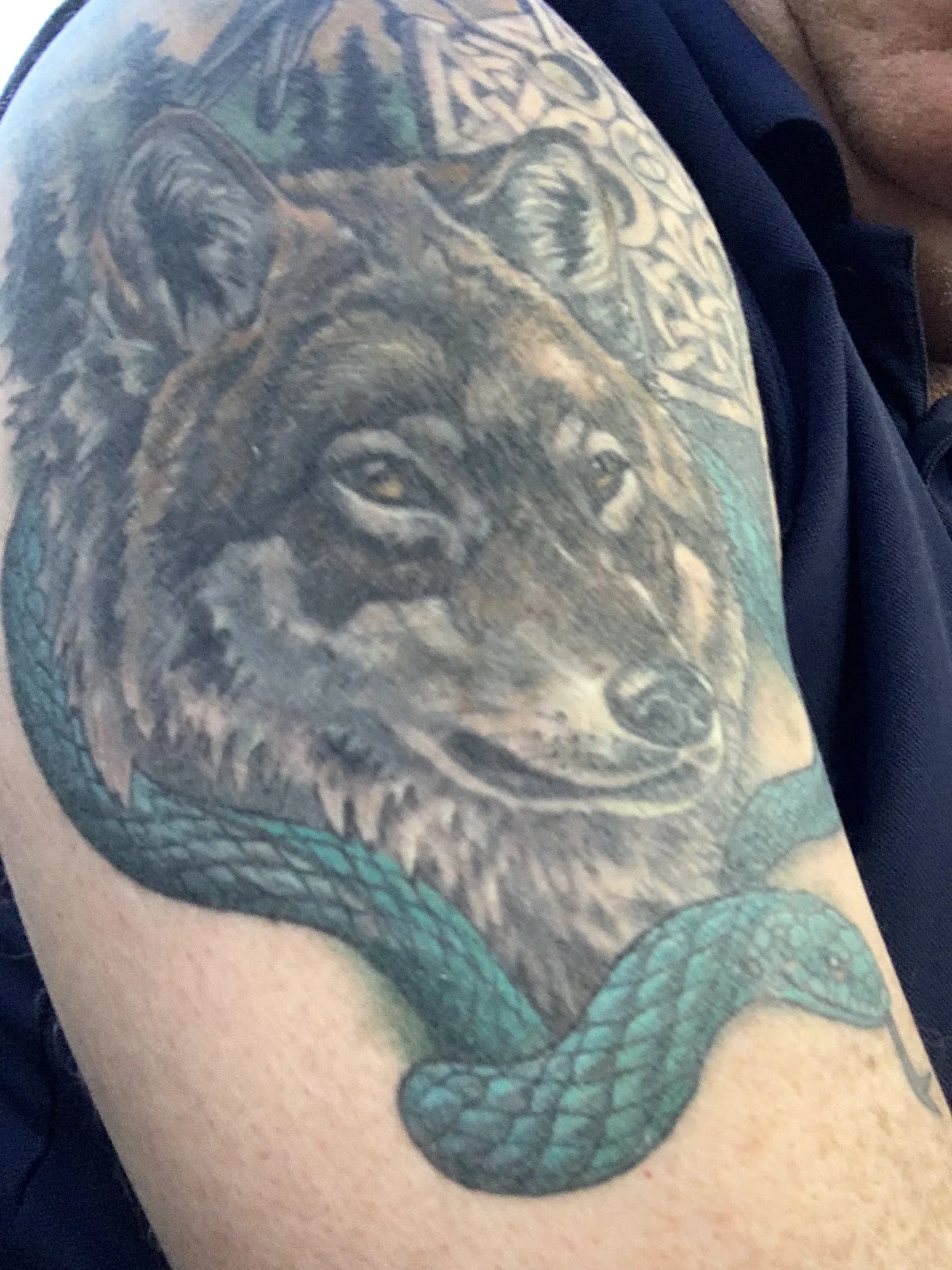 Blue Nose Tattoo tattoo shop in Nanaimo, BC