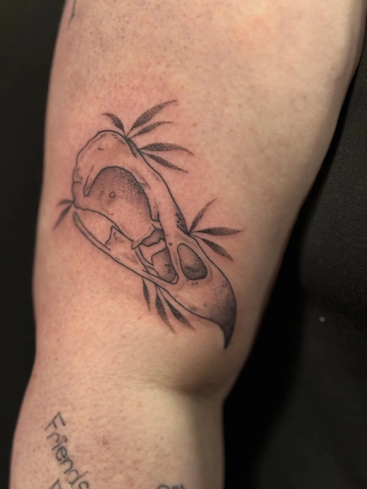 Emily Alder Woods Tattoos tattoo shop in Stratford, ON