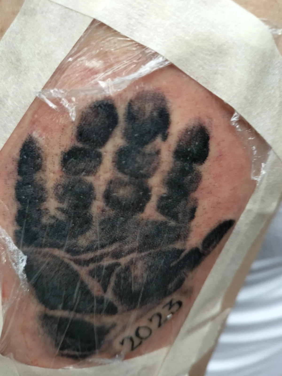Lucky Tattoo's Centro (Oficial) tattoo shop in Monterrey, N.L.