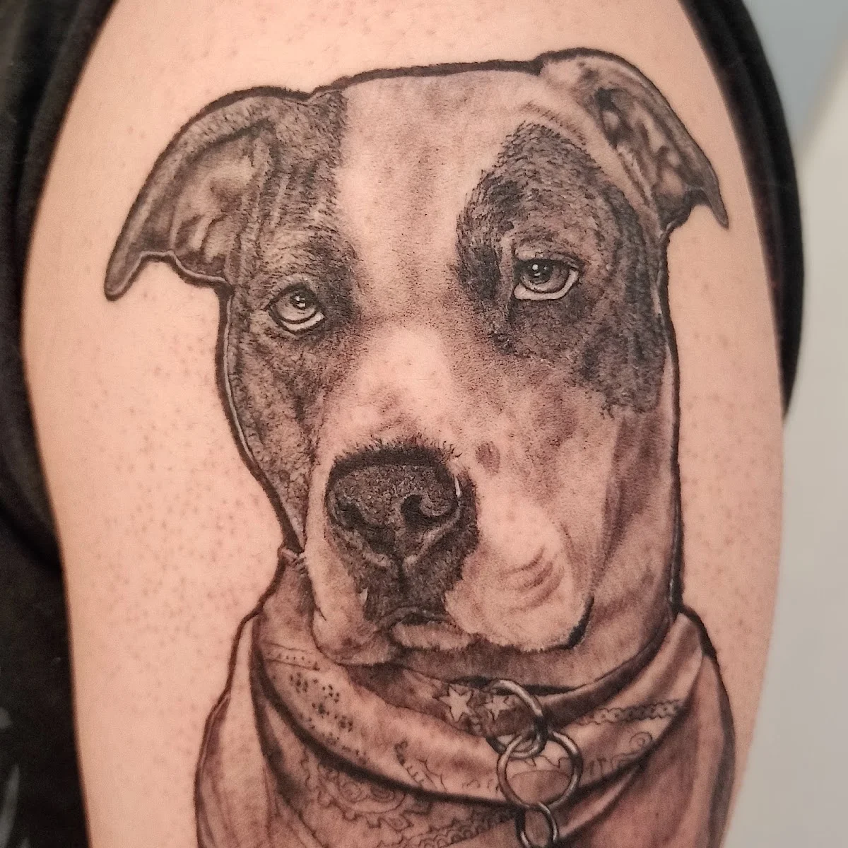 Rick Piña Tattoo Studio tattoo shop in Tlalnepantla