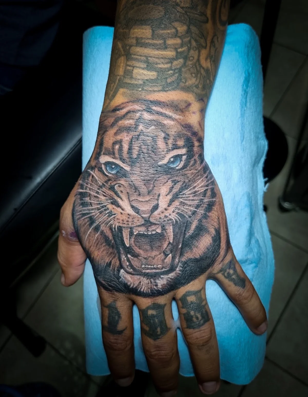 Illegal Culture Tattoo Studio tattoo shop in Tonala, Jal.