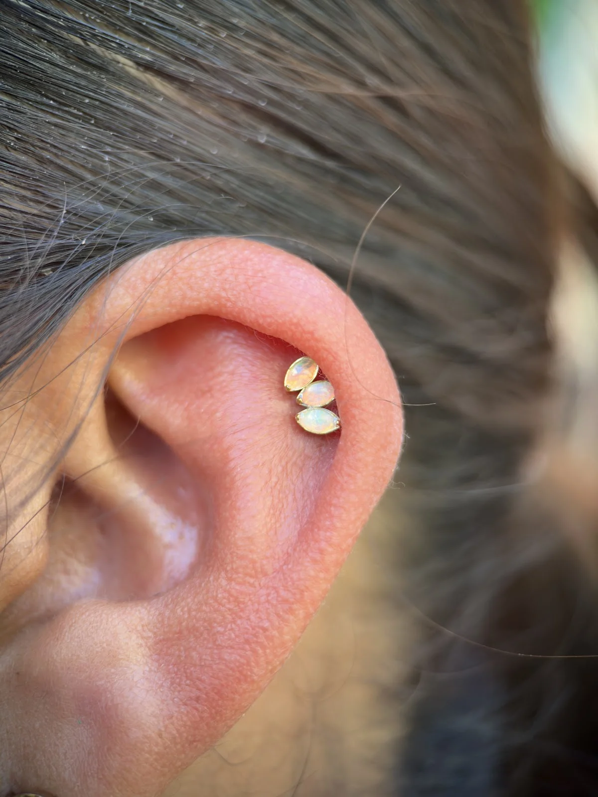 Alux Piercing & Tattoo Shop tattoo shop in Villahermosa, Tab.