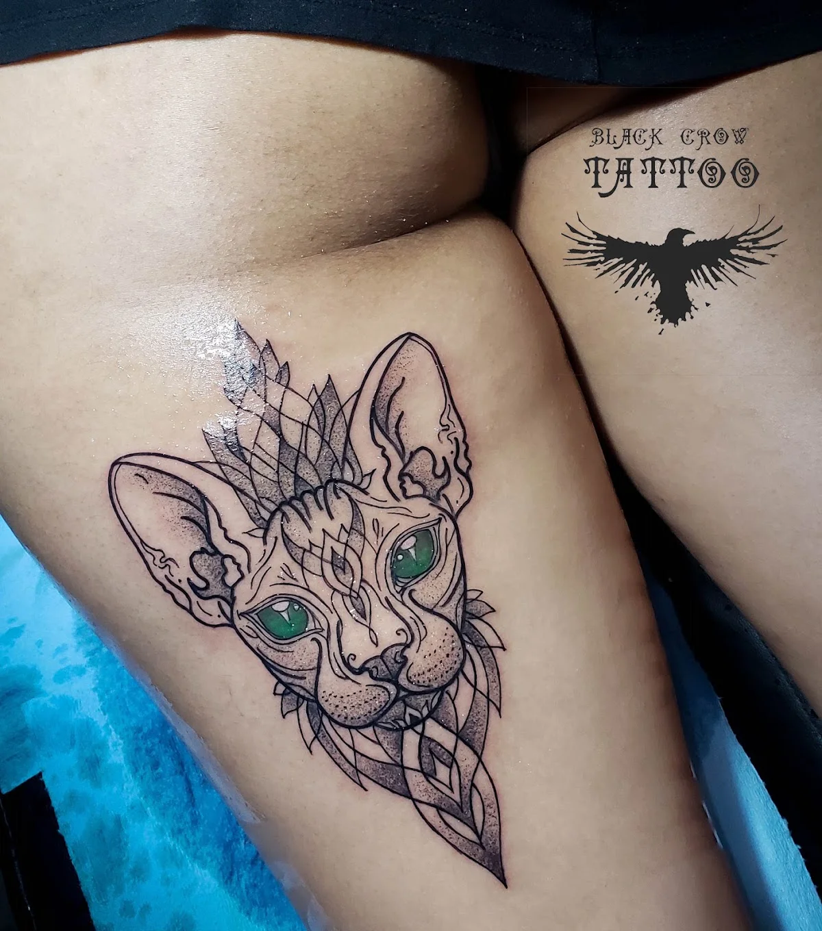 Black Crow Tattoo Villahermosa tattoo shop in Villahermosa, Tab.