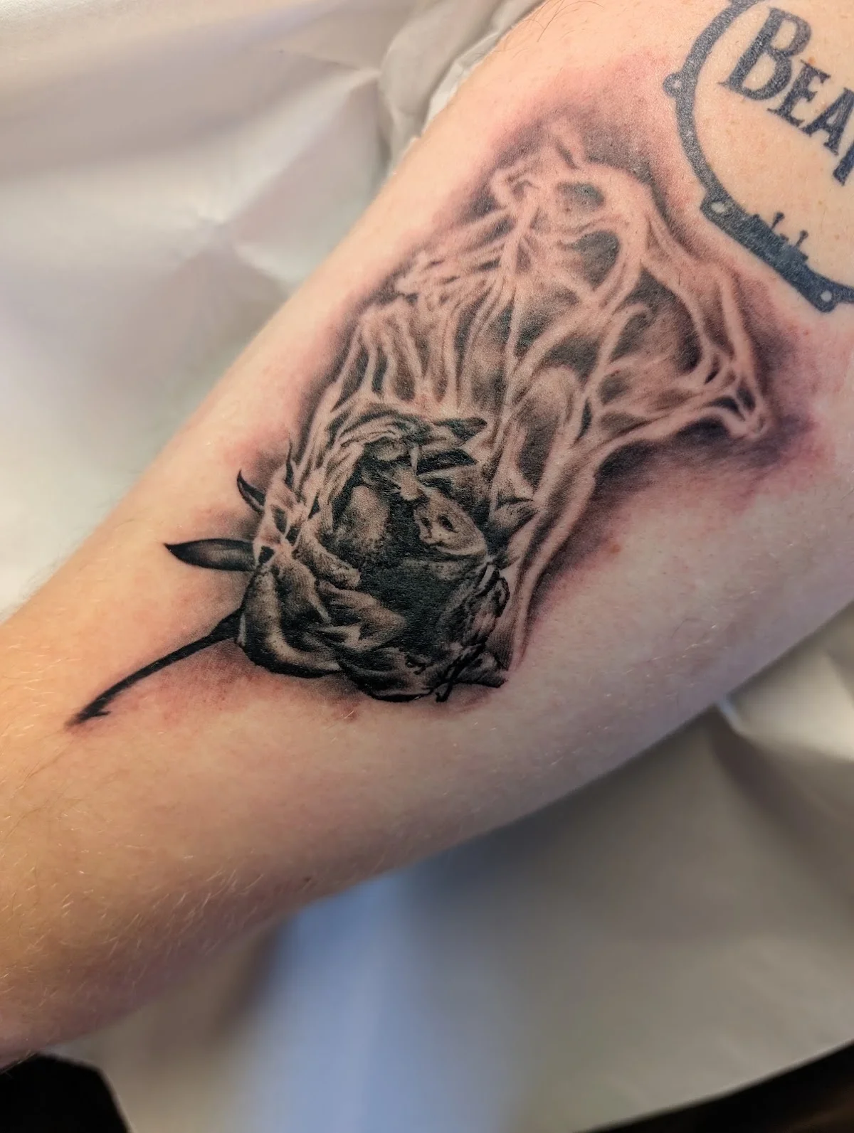 Gentleman George's Tattoo Parlour tattoo shop in Liverpool, ENG