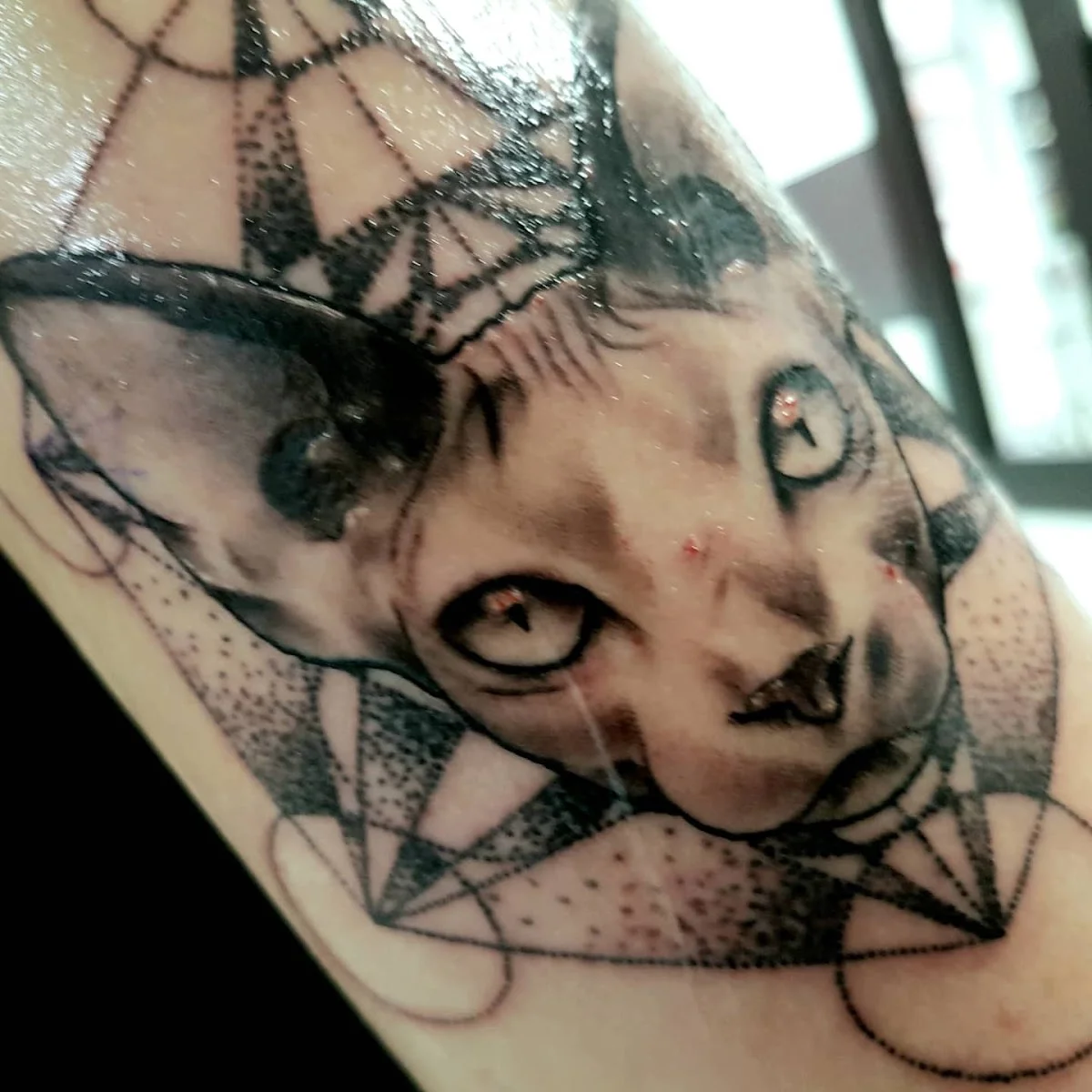 Liverpool Ink tattoo shop in Liverpool, ENG