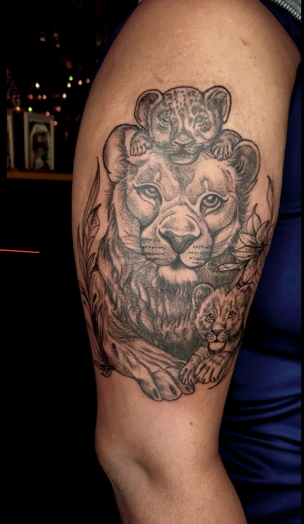 Infinity Ink Limited tattoo shop in Bristol, ENG