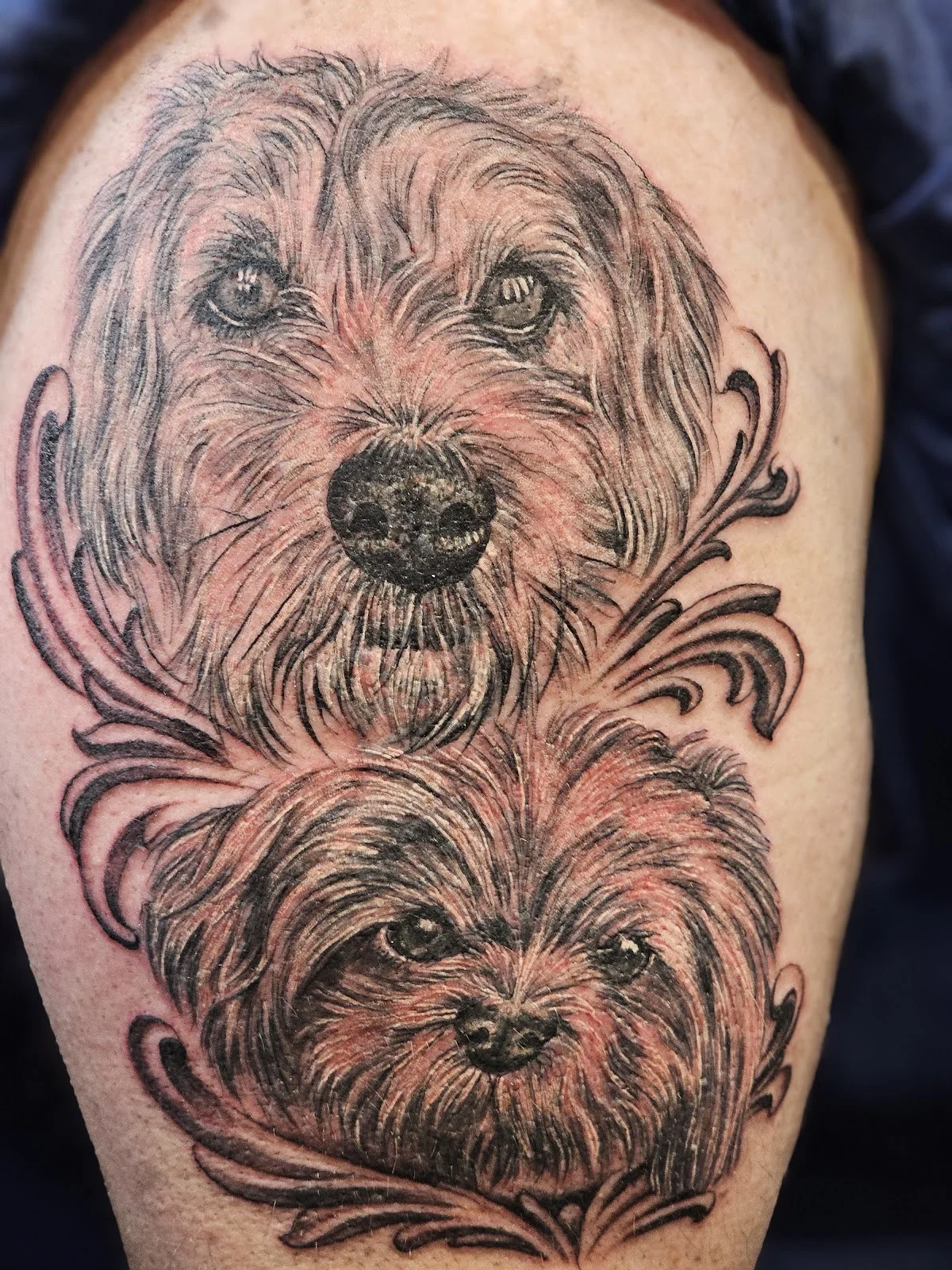Elixir Tattoo photo