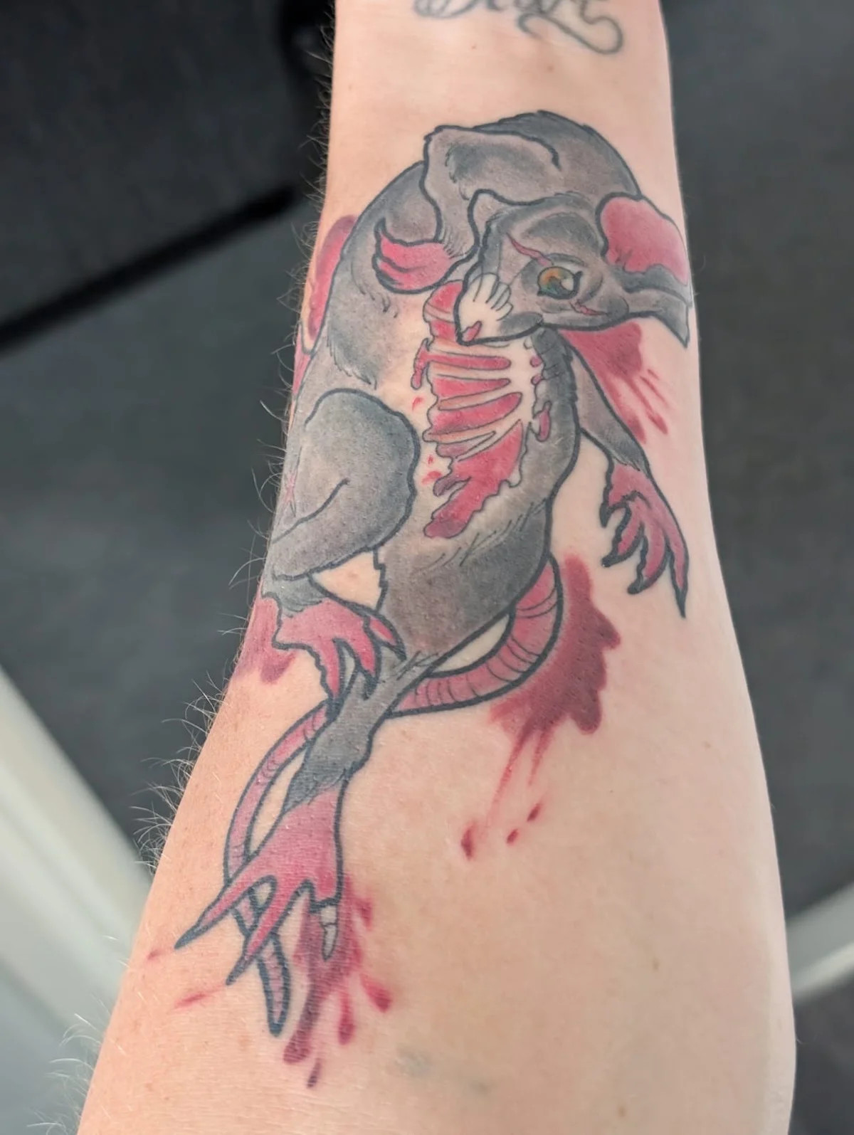 The Flying Fox Tattoo photo