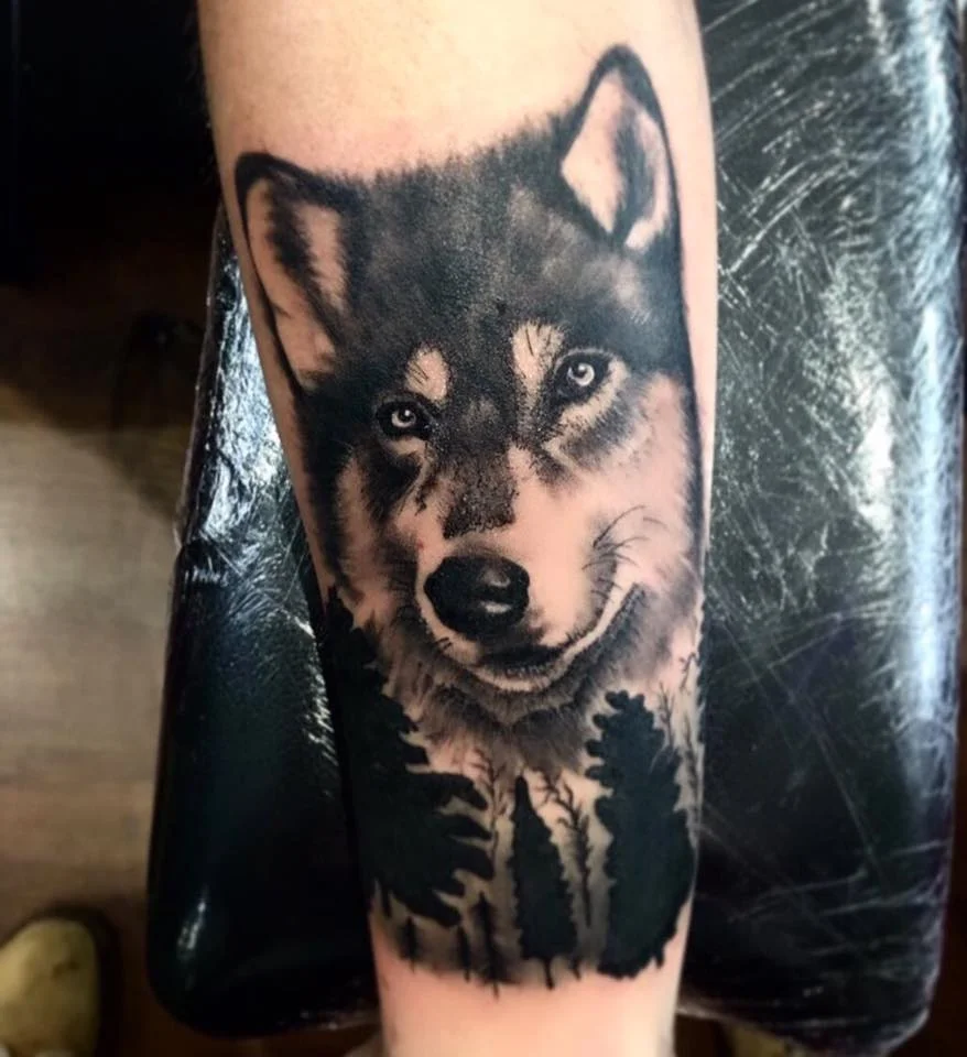 HumeTattoo photo